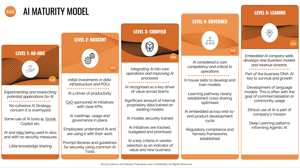 AI Maturity Model